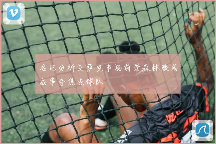 名记分析艾萨克市场前景森林狼或成争夺焦点球队