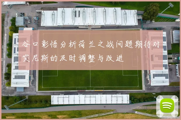 谷口彰悟分析荷兰之战问题期待对突尼斯的及时调整与改进