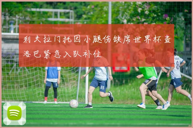 利夫拉门托因小腿伤缺席世界杯查洛巴紧急入队补位